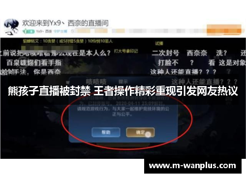 熊孩子直播被封禁 王者操作精彩重现引发网友热议