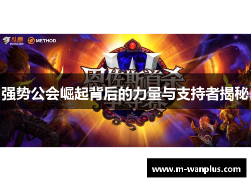 强势公会崛起背后的力量与支持者揭秘