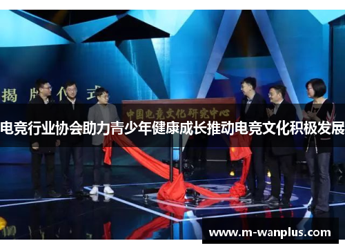 电竞行业协会助力青少年健康成长推动电竞文化积极发展