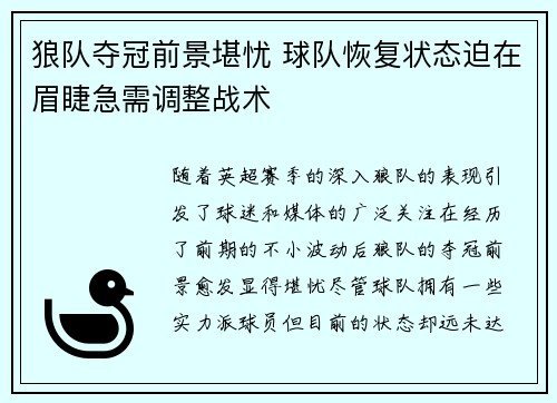 狼队夺冠前景堪忧 球队恢复状态迫在眉睫急需调整战术
