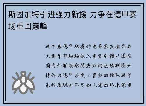 斯图加特引进强力新援 力争在德甲赛场重回巅峰