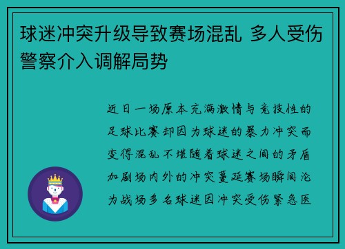 球迷冲突升级导致赛场混乱 多人受伤警察介入调解局势