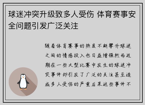 球迷冲突升级致多人受伤 体育赛事安全问题引发广泛关注